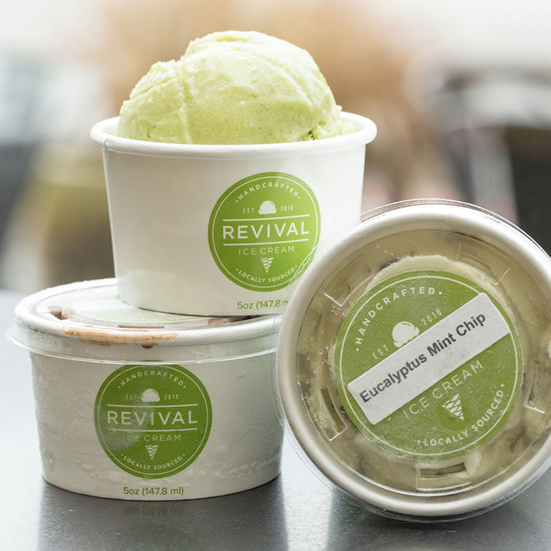 Eucalyptus Mint Chip Ice Cream - 6 Pints – Revival Ice Cream